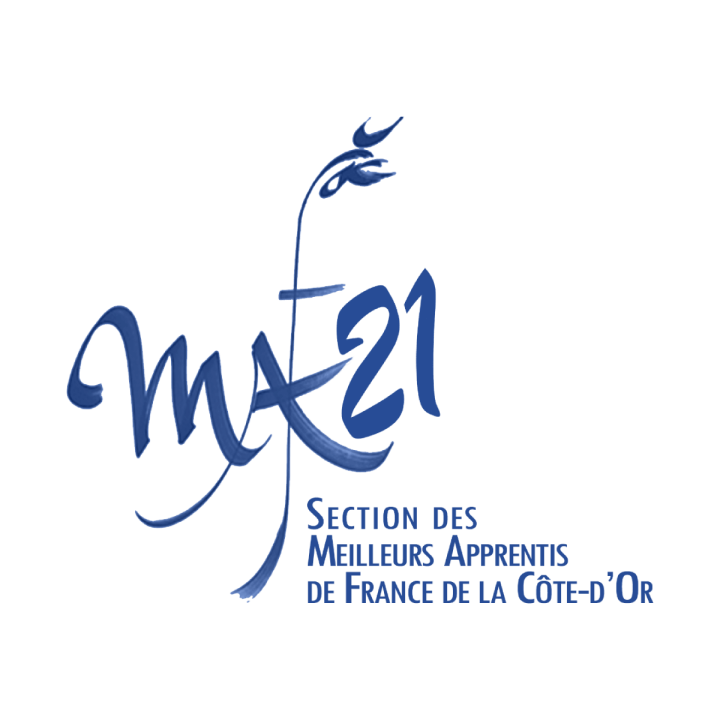 Logo Meilleurs apprentis de France